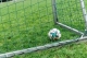 DSC_4800_300dpi.jpg