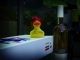 Ente beim abendlichen Grillen.jpg