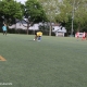 IMG_3531_Web.jpg