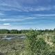 L1010533_web.jpg