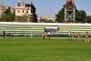 Damaskus_Fussball_Tor fuer die Enten_2.jpg