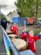 IMG-20220917-WA0025__opt_web.jpg