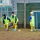 L1220599__opt_web.jpg