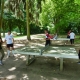 P1170728__opt_Web.jpg