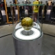 DSC03439_Web.jpg