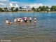 IMG_20220904_150939__opt_web.jpg