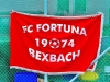 Saarländer Flagge
