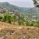 IMG_7139_web.jpg