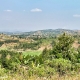 IMG_7242_web.jpg