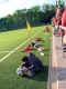 Szene am Spielfeldrand.jpg