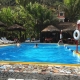 Rio Selva Resort - Enten im Pool.jpg