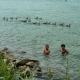 P1170767__opt_Web.jpg