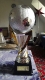 Pokal zum Turniersieg.jpg