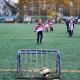 DSC_0531_Web.jpg