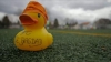 Beim FC Ente Bagdad dreht sich alles um das Wappentier