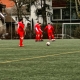 IMG_2342_web.jpg