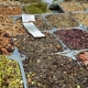 DSC_5404__opt_Web.jpg