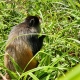 IMG_6531_web.jpg
