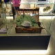 DSC03440_Web.jpg