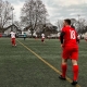 IMG_2376_web.jpg