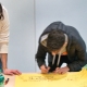 L1030175__opt_Web.jpg