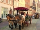 Lueneburger Touristendroschke.jpg
