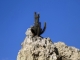 Valle de la Luna - Spaerliche Vegetation.jpg